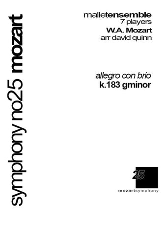 Mozart - Symphony No.25 K.183, 'Allegro Con Brio'