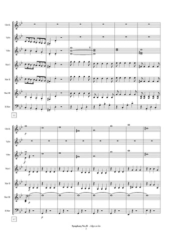 Mozart - Symphony No.25 K.183, 'Allegro Con Brio'
